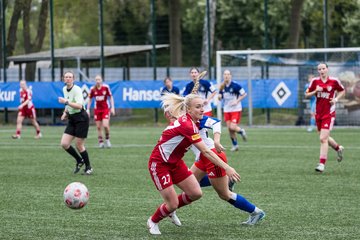 Bild 429 - F Hamburger SV 2 - SpVg Aurich : Ergebnis: 1:1
